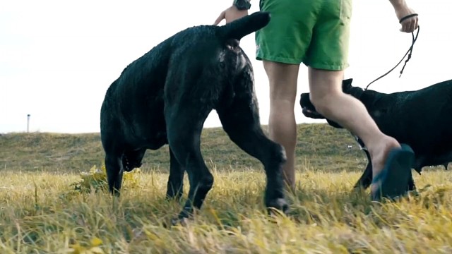 冠军.乔0907为热爱记录美好生活