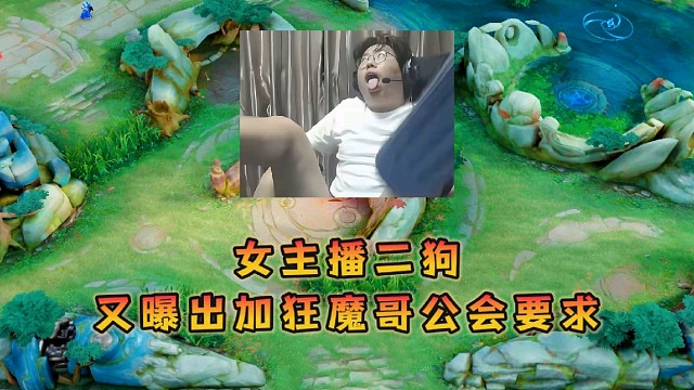 王者榮耀其海的直播