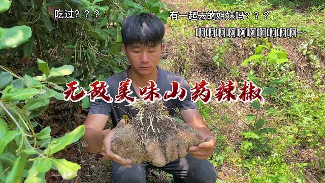 农村夏日美食就着简单的一餐，坐在柴火灶台前感受着农村生活的宁静与踏实