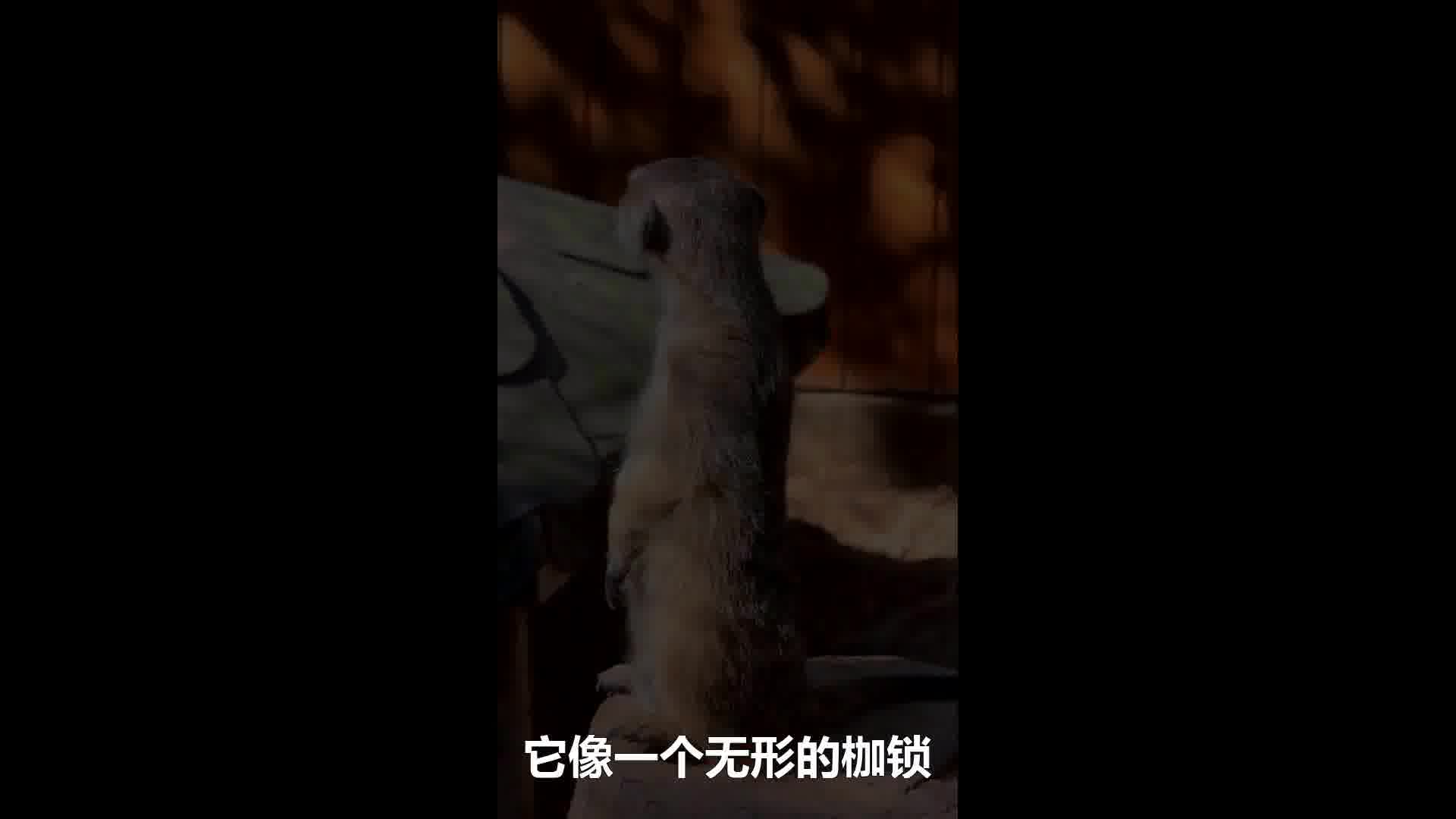 恐惧自己受苦的人，已经因为自己的恐惧在受苦