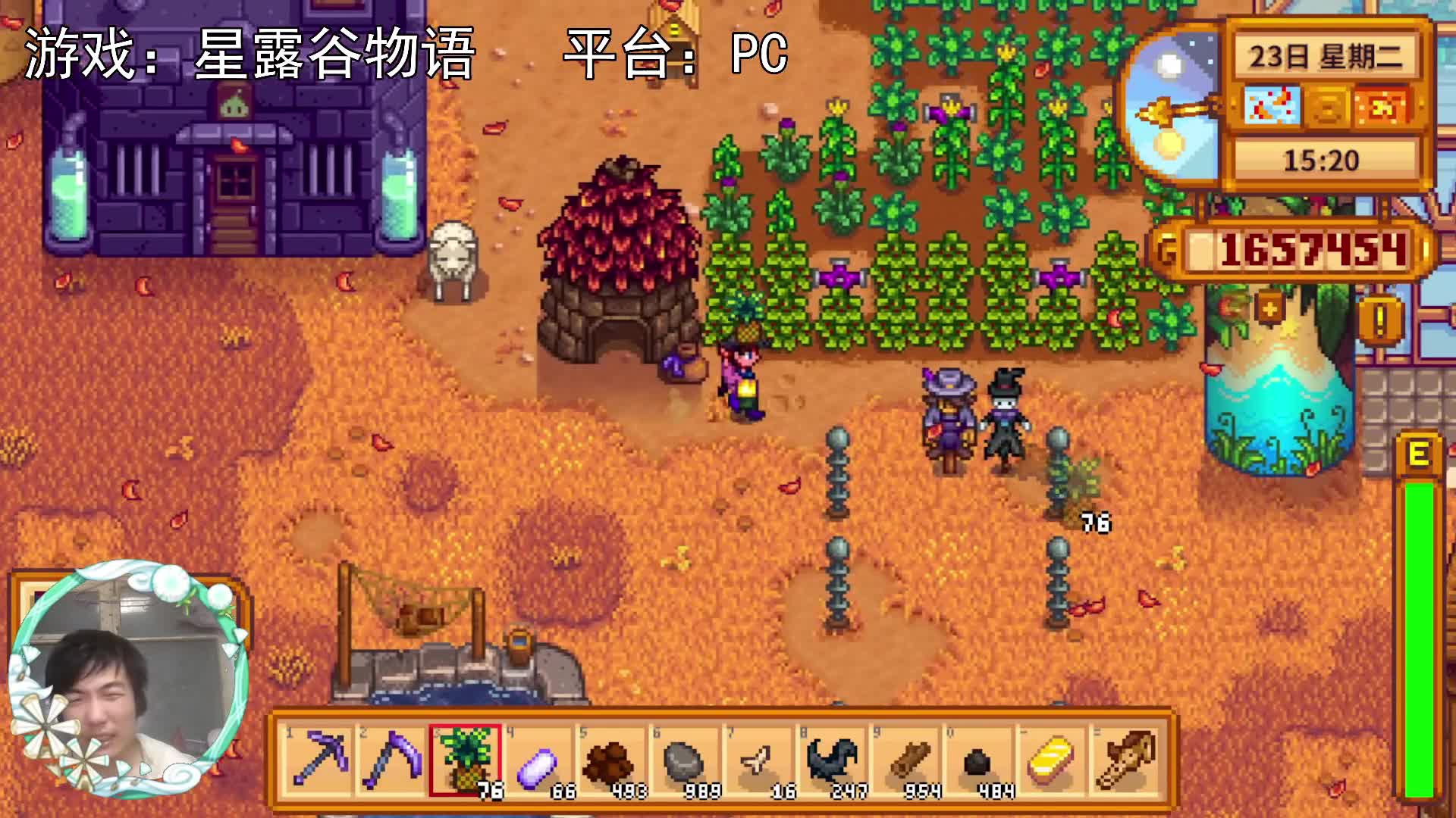 【星露谷物语】史莱姆孵化器，一点用都没有！