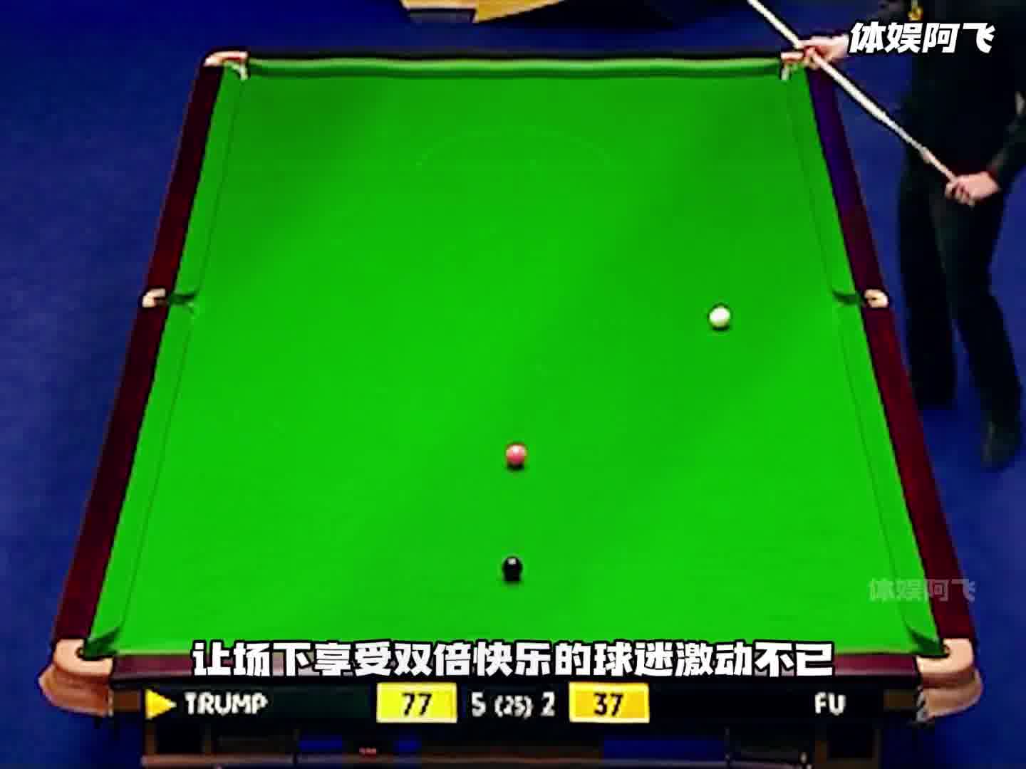 前有飓风飞檐走壁，现有小特白球空中起跳！