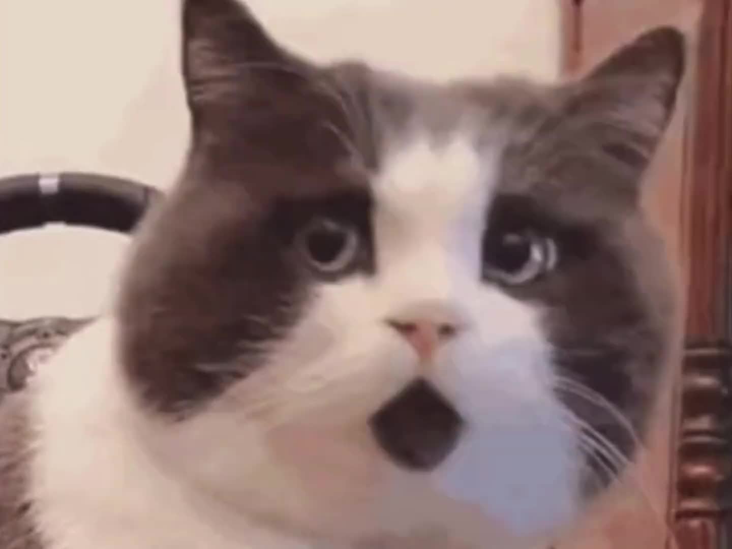 没想到在网上真能学到新技巧，果真是活到老学到老