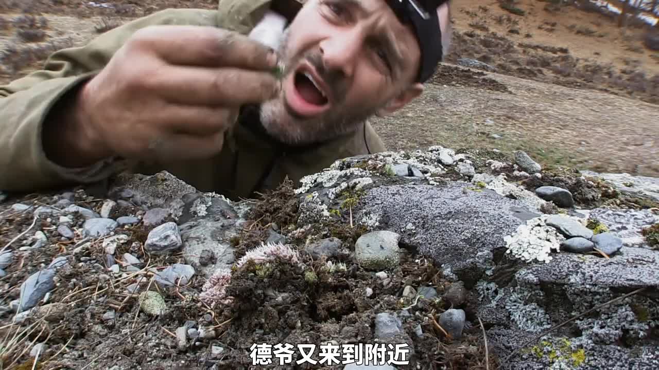 德爷蒙古阿尔泰山脉荒野求生，捡到一只九十九斤野山羊(3)