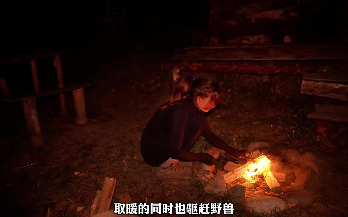 森林里找到一个小屋，在此生存，烹饪美食。