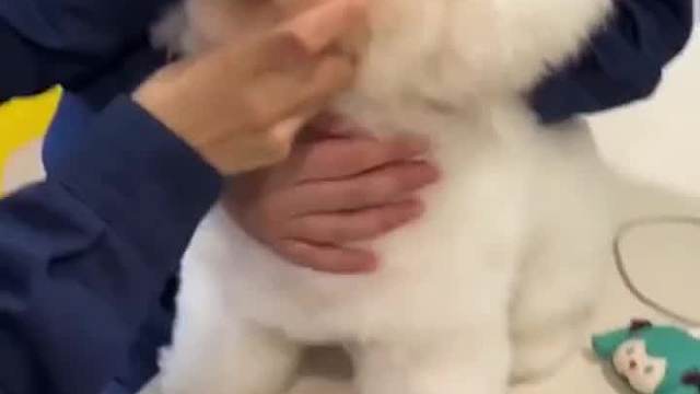 有点快乐，但不多！