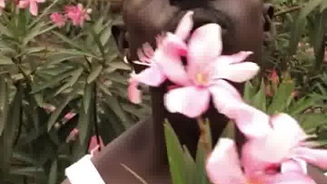 说得很好，下次别说了！