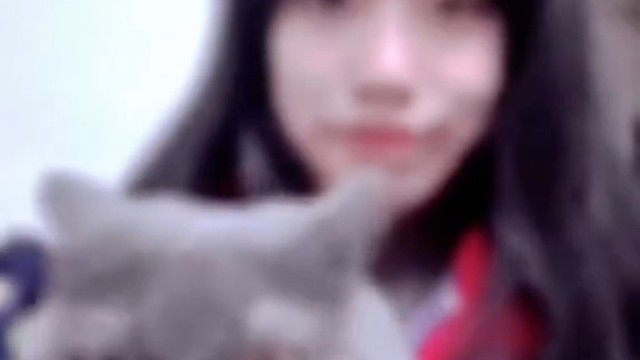 猫:“什么东西”