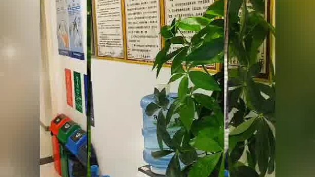 柳建华附近中医