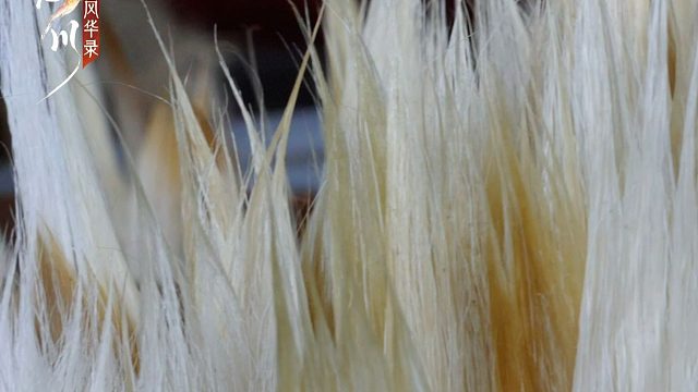 【勿忘】忘川风华录x善琏湖笔厂丨制笔之人，不拜文人拜将军？