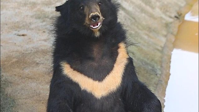 腿到用时方恨短