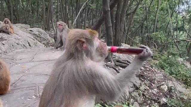 专业来源于日积月累