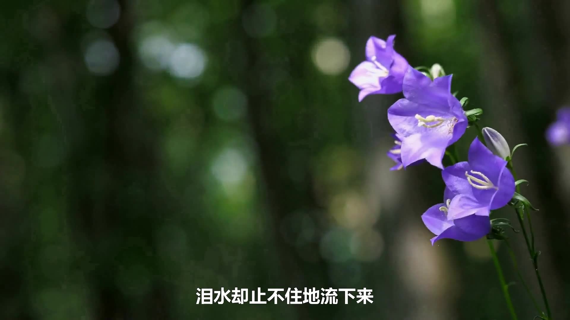 有时候，受了委屈，本来不想哭，可是只要别人一问你怎么了，就会忍不住地流眼泪。