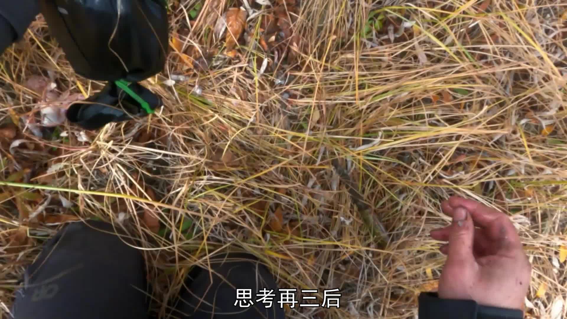 威廉的冠军之路，赢得荒野独居第十一季的奖金