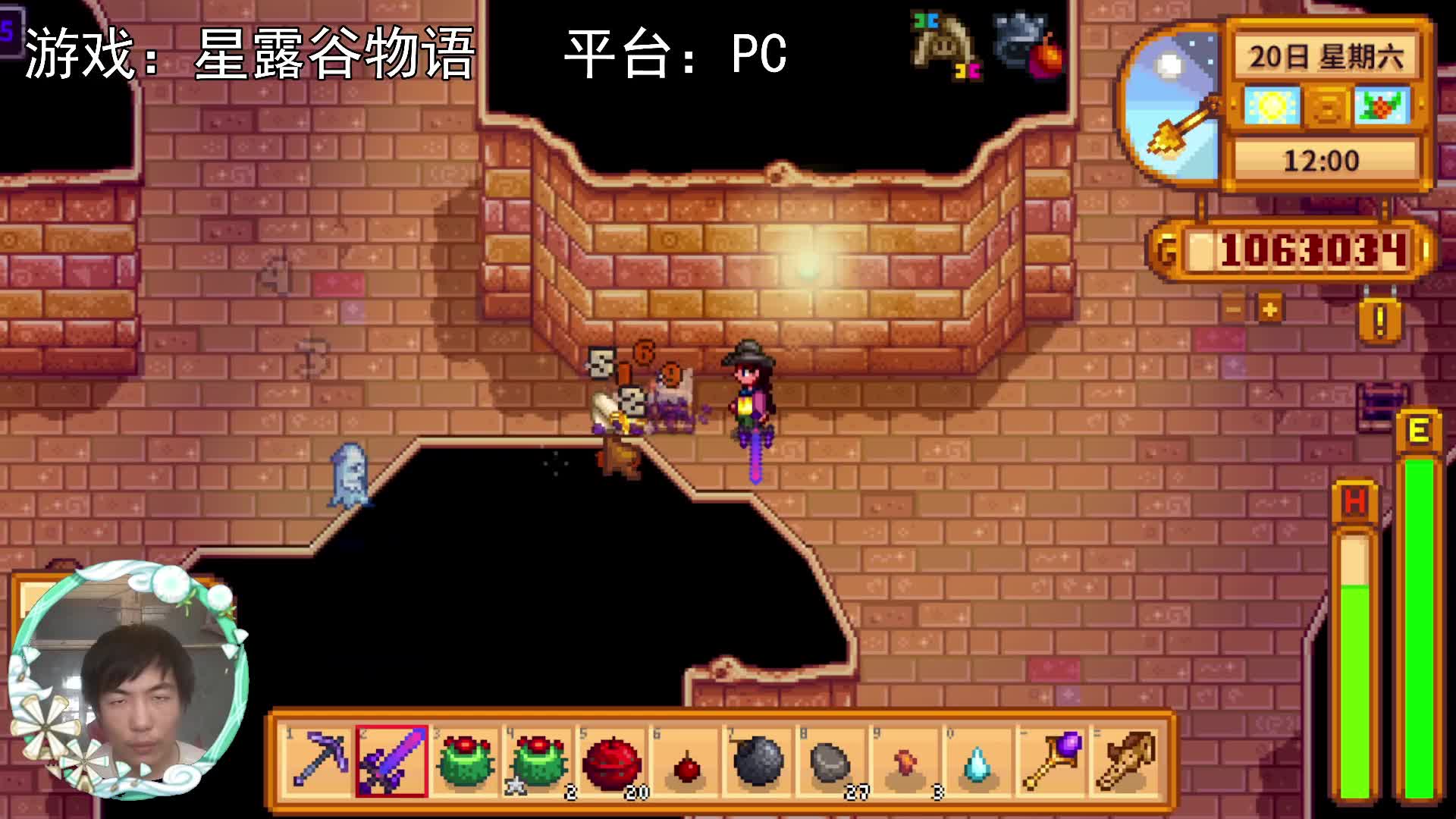 【星露谷物语】我又挂了！