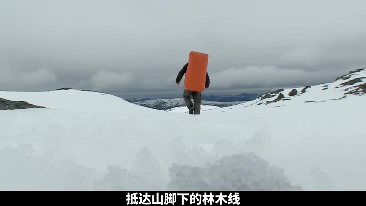 德爷挪威西海岸荒野求生，吃贻贝海草象拔蚌，实现海鲜自由！(1)