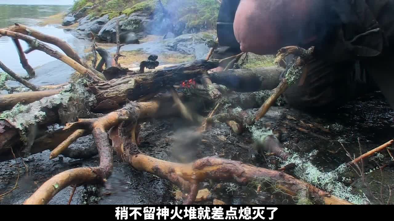 德爷挪威西海岸荒野求生，吃贻贝海草象拔蚌，实现海鲜自由！(3)