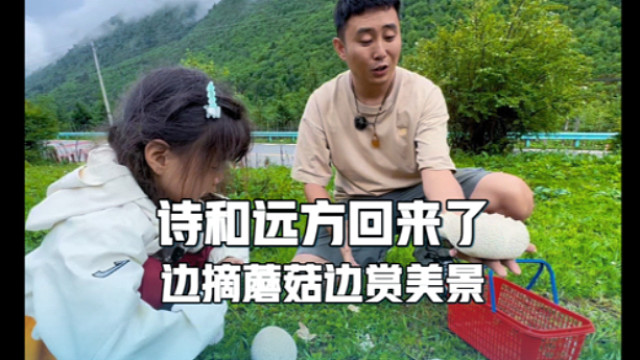 房车再征高原，边摘蘑菇边赏美景，全家的诗和远方回来了