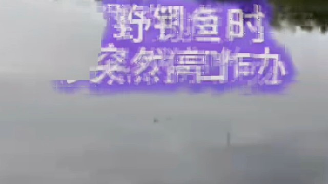 野钓鲫鱼时突然仃口咋办