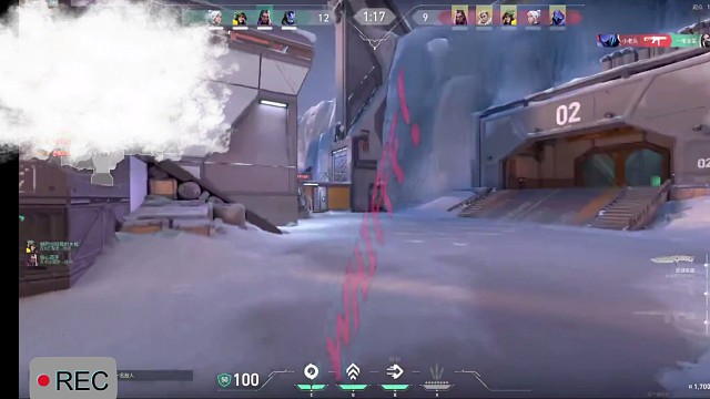 新人小主播，感谢关注！