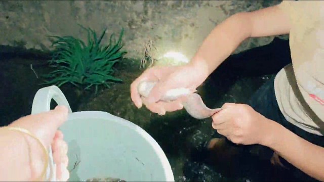 只要不放弃，终会成功！加油！