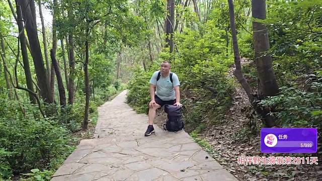 哈哈 胖哥哥走不动了！