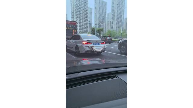 鱼：请为我发声