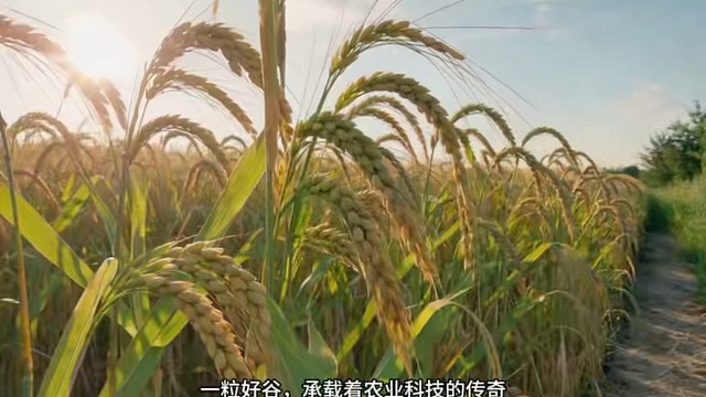 带你走进晋谷21号～