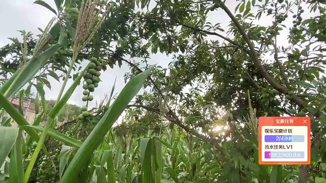 村里的风景，平淡且耐看