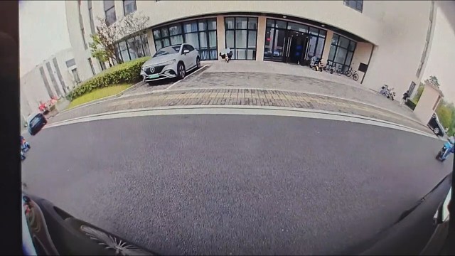 这真的是人类吗