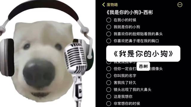 我是一只孤单小狗