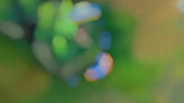 什么叫做透彻的风，也许这个就是答案吧