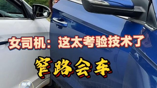 前轮掉下路砍如何脱困？女司机：这也太考验技术了吧！