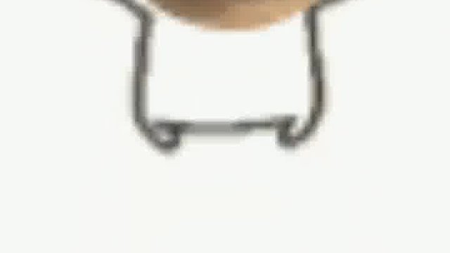 老乡鸡的鸡动车