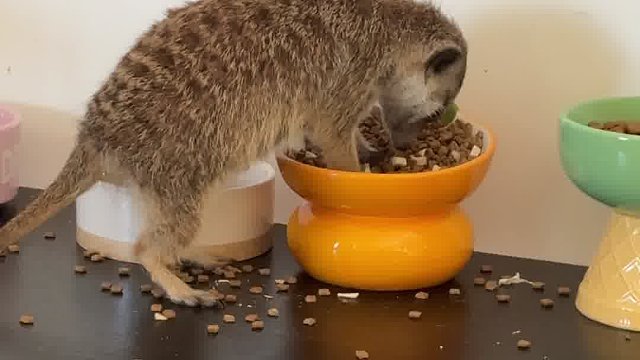 你们看到第几个就崩溃了__