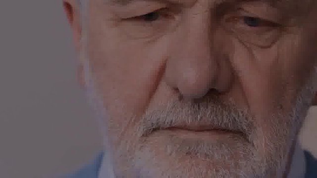 因为孤独是生命的常态，所以陪伴才显得格外珍贵。