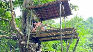 在樹上搭建竹屋，制作捕魚陷阱，實(shí)現(xiàn)吃魚自由
