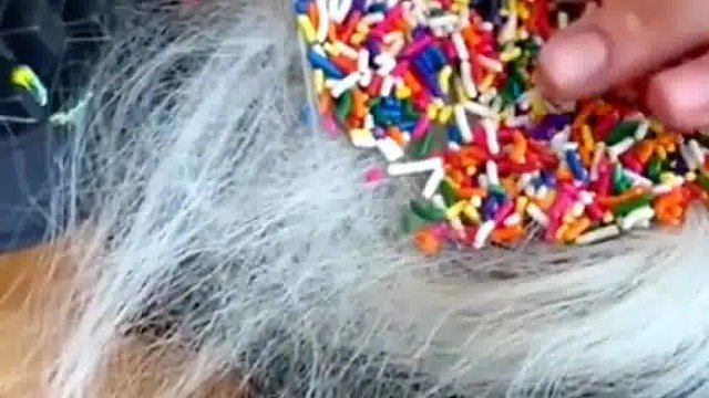 美国女人给孩子煮彩色头发