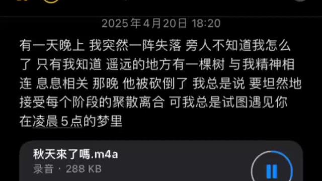 我总是试图遇见你