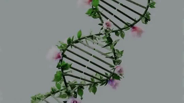 你是你生命的作者，何必写那么难言的剧本。