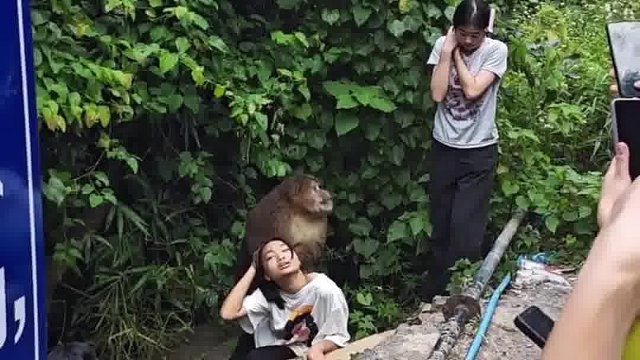 人居然还能让猴给欺负了