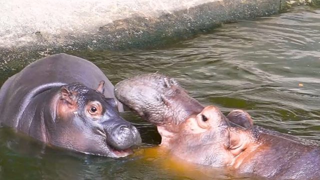 软软的胖胖宝，妈妈都忍不住想咬一口