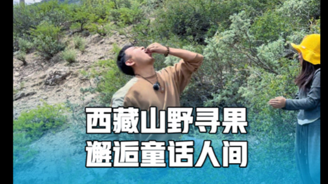 房车自驾川藏中线，山野寻果，露营邂逅童话人间，人少景美
