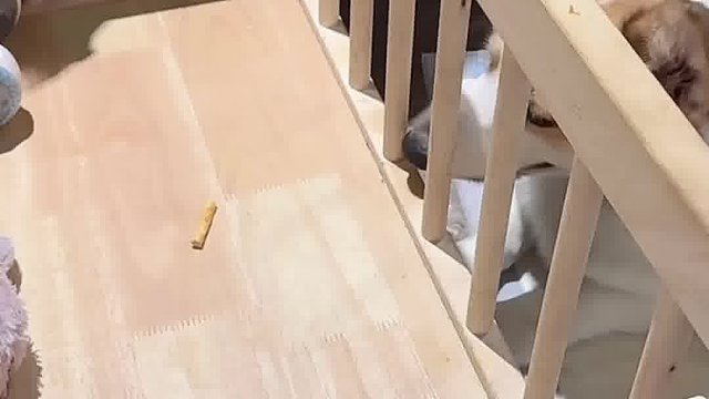 妈呀，给我笑的没谁了