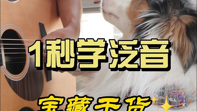 吉他泛音速成，你不会这都学不会吧。。。