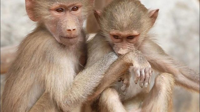 惹妹妹生气了，要怎么哄