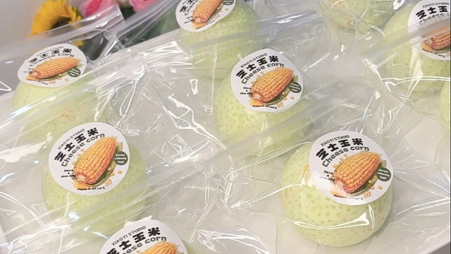 因为芝士玉米爱上手作球