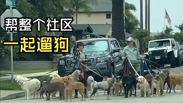 那些欢乐的动物视频！