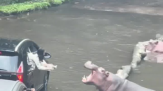 当路过河边要交过路费时…