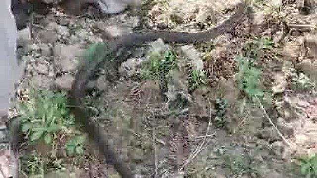 我愿称之为最快的男人